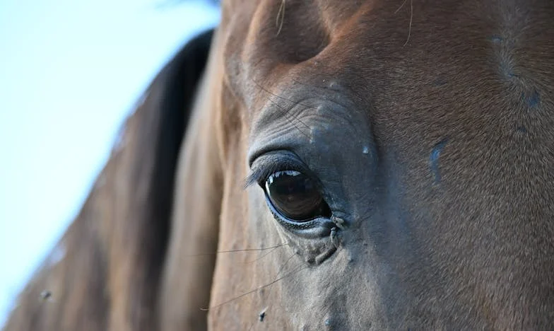 Cuando la familia no basta: Mi madre vive a dos calles, pero sigo necesitando una niñera