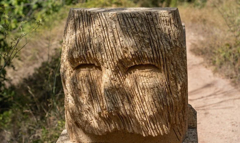 Cuando la felicidad divide: El otoño de mi vida y el nacimiento de Lucía