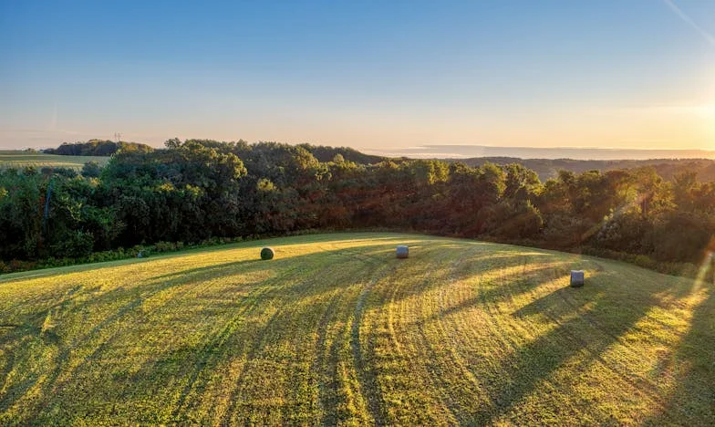 Cuando la puerta no se abre: El día que no dejé entrar a mi suegra