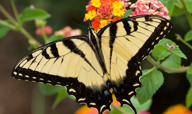 Cuando la sombra del pasado llama a la puerta: Una historia de amor, traición y segundas oportunidades