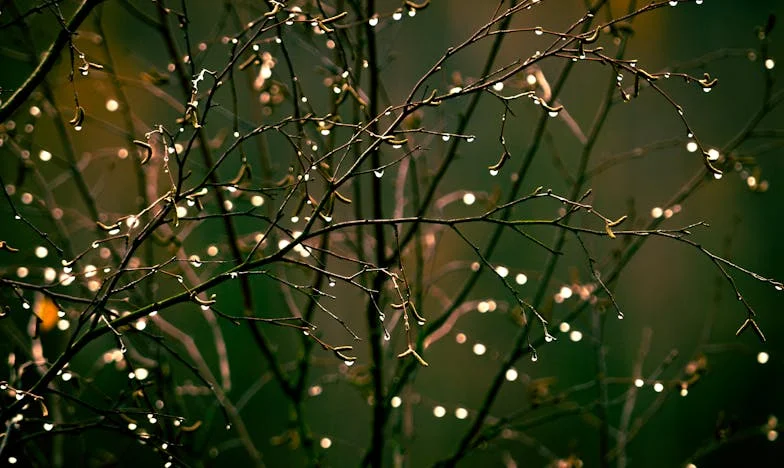 El cumpleaños de mi hija y el silencio de mi soledad