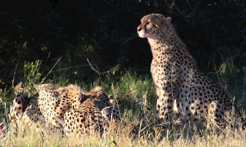 El día que colgué el teléfono a mi madre: una historia de ruptura y redención
