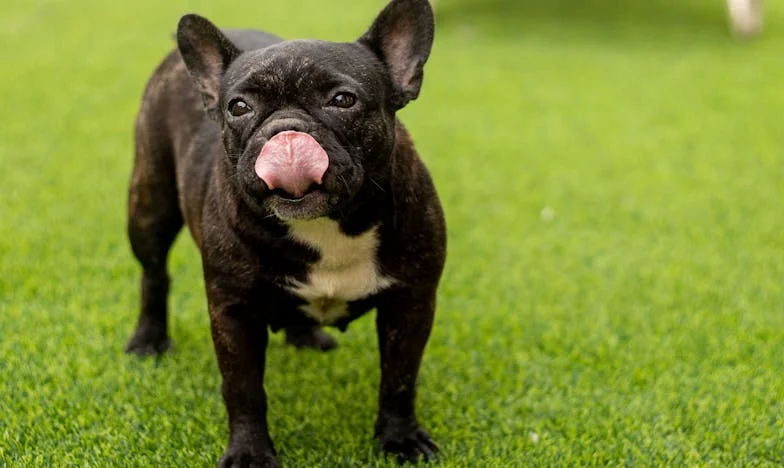 El eco de las palabras no dichas: La historia de Carmen y su hija perdida