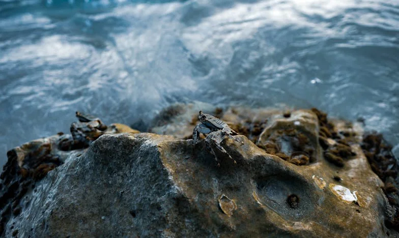 El silencio de la nevera vacía