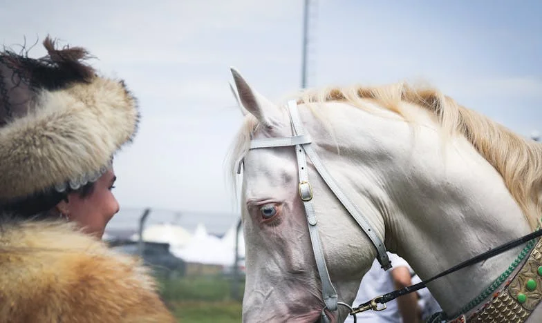 El silencio entre nosotros: cómo perdí a mis nietos