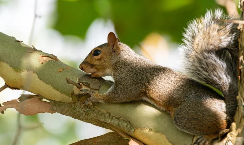 Entre el Silencio y el Polvo: Un Viaje a Madrid que Nunca Olvidaré