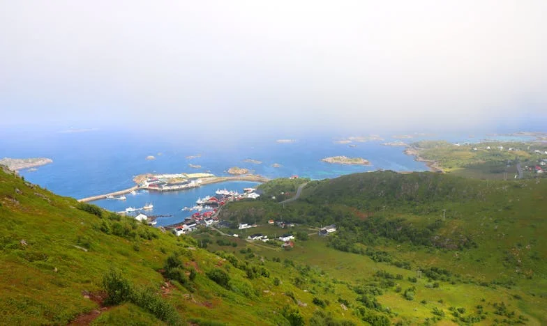 Entre el Silencio y la Esperanza: La Noche que Perdí a Lucía