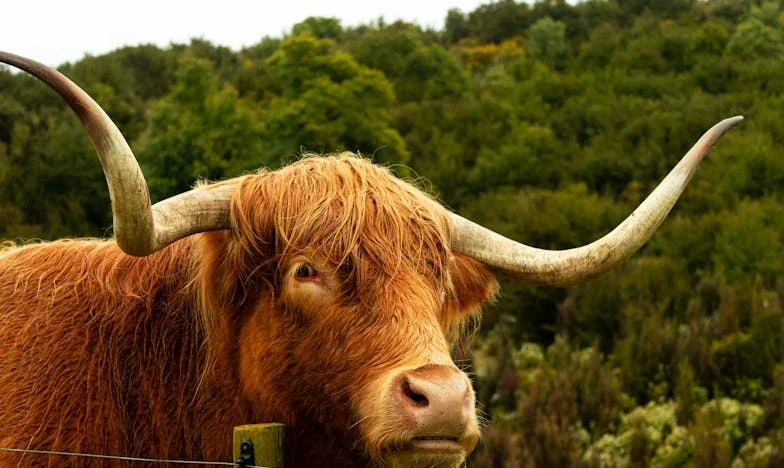 Entre la fe y el silencio: Mi lucha por recuperar a mi hijo