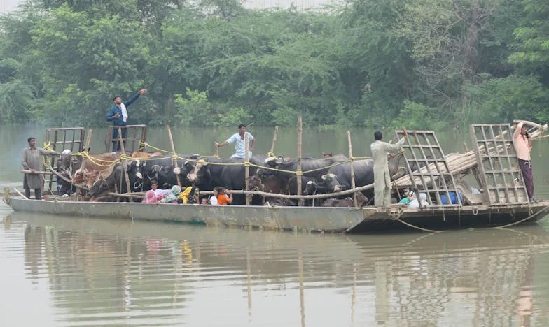 La hija secreta: La verdad que desgarró mi mundo