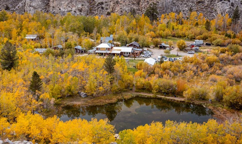 La llamada que desgarró mi vida: secretos familiares en el corazón de Madrid