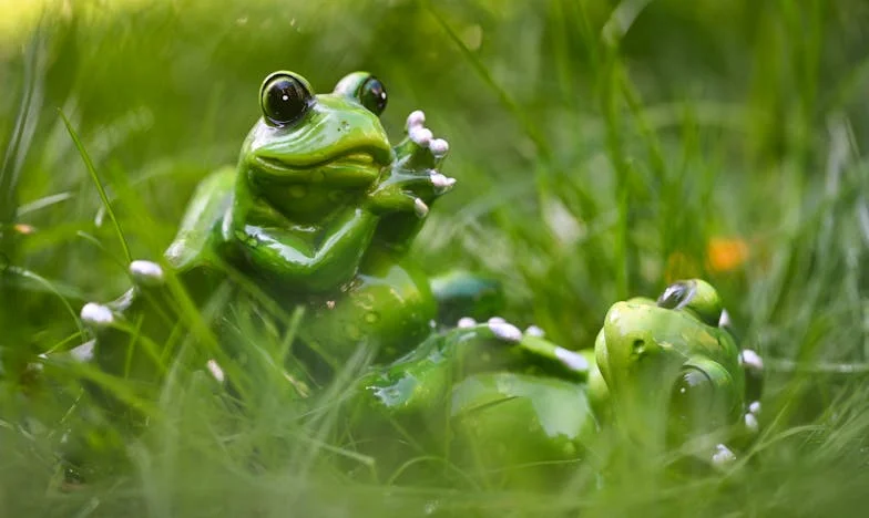 La sombra de la traición: El reencuentro con la mujer del pasado de mi marido