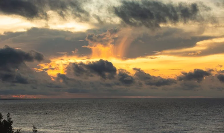 La sombra en mi propia casa: El cumpleaños de Ricardo