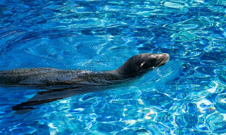 Me negué a cuidar de mi nieta: ahora mi familia me ha dado la espalda