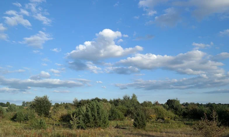 Mi hija gastó 3.000 euros en juegos online: ¿soy yo el culpable?