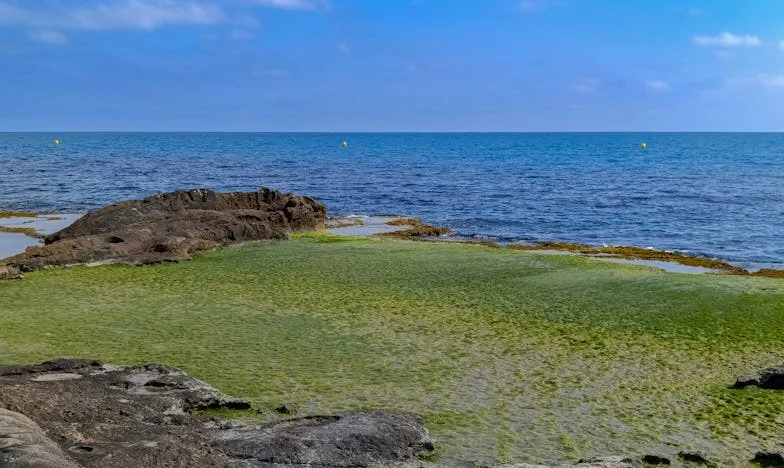 No era mi hijo, pero su dolor me cambió para siempre