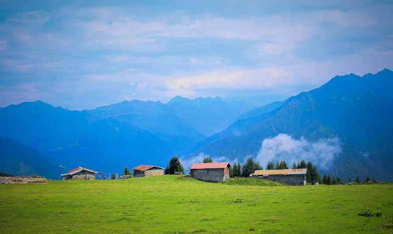 Pan y cicatrices: una madre entre el amor y el miedo