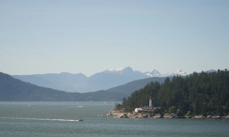 Secretos entre paredes: La ayuda de mi suegra y el precio de la confianza