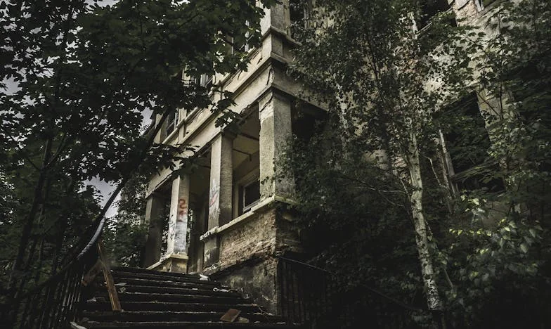 Soledad entre cuatro paredes: Cuando la familia desaparece al nacer un hijo