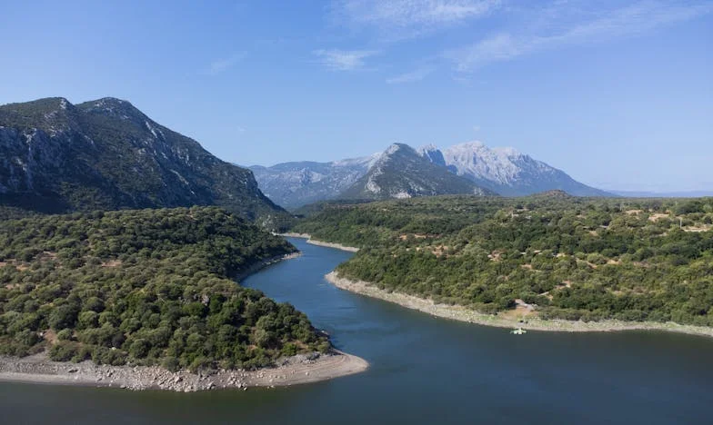 Sombras en la jubilación: La historia de la abuela Carmen en Madrid