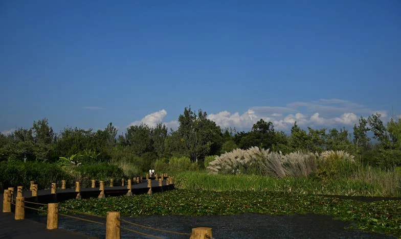 Un vídeo que rompió mi familia: La verdad detrás de la pantalla