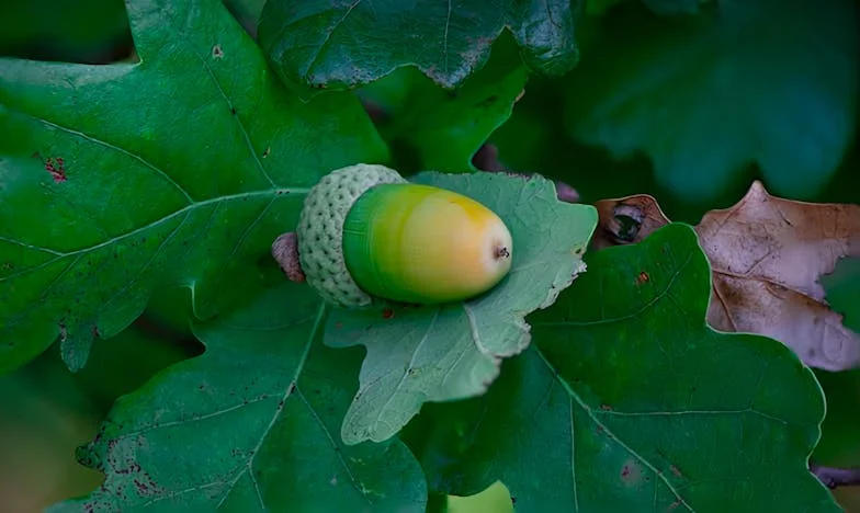 Vergüenza de mi hija: Historia de amor, orgullo e injusticia