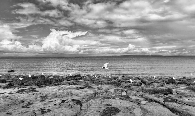 Volver a empezar a los cincuenta y tres: La historia de Carmen de Salamanca