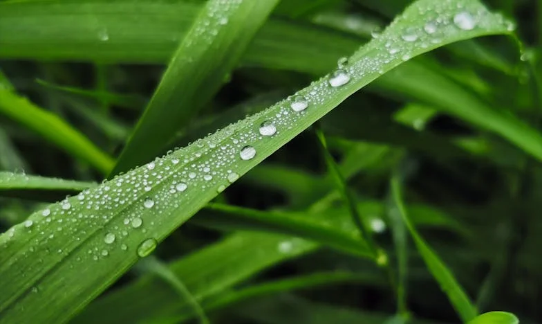 Bajo el peso del silencio: El relato de una madre y su hijo en Madrid