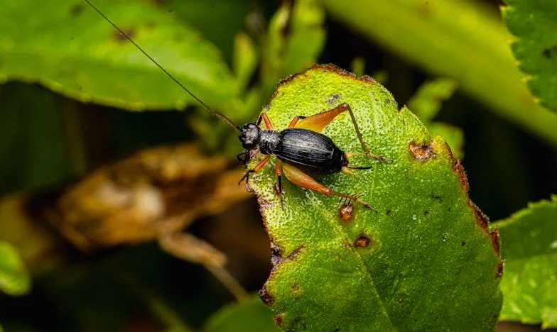 Cinco años de sombras: Cuando el pasado no se va de casa