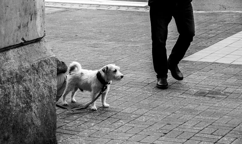 "Cocinar no es cosa de hombres": Una mañana en la cocina que cambió mi familia