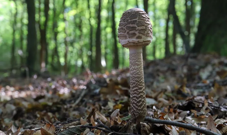 Cuando el amor pesa más que la rutina: Mi grito ahogado en casa