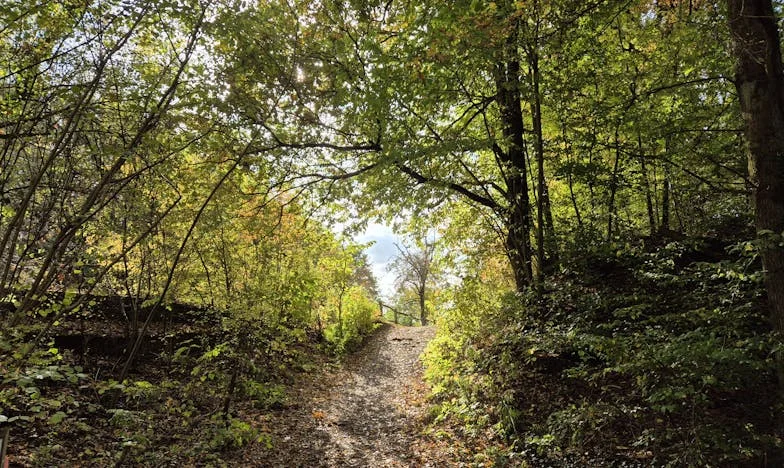 Cuando el amor se convierte en carga: La lección que nunca imaginé dar a mi hija