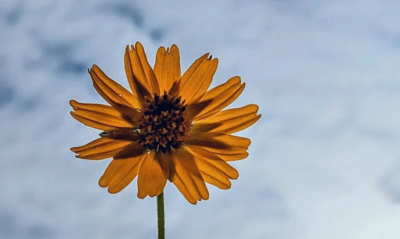 Cuando la familia deja de ser hogar: El relato de Ana desde Carabanchel