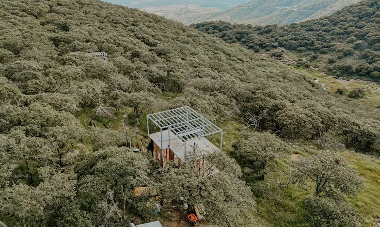 Cuando las puertas se abren: Regreso al pueblo y heridas familiares