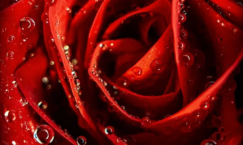 Cuando los hijos de mi pareja descubrieron nuestro secreto: tormenta en casa de Carmen