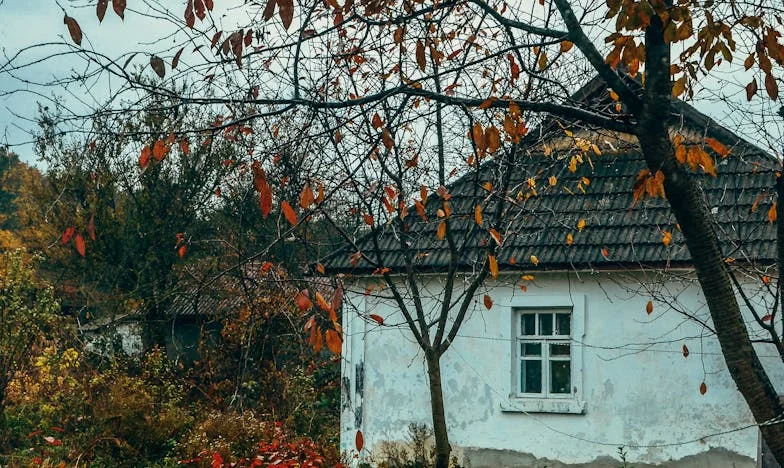 Cuando mi hija eligió el amor sobre el dinero: una madre frente a sus prejuicios