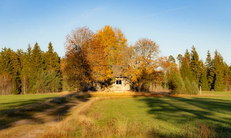 Cuando mi suegra me echó de casa: Un relato de traición y coraje en Madrid