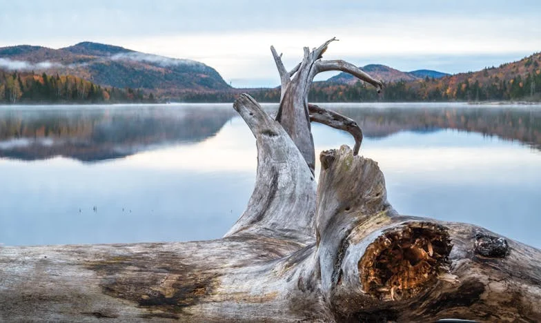 Dos vidas, un corazón: El secreto de mi marido