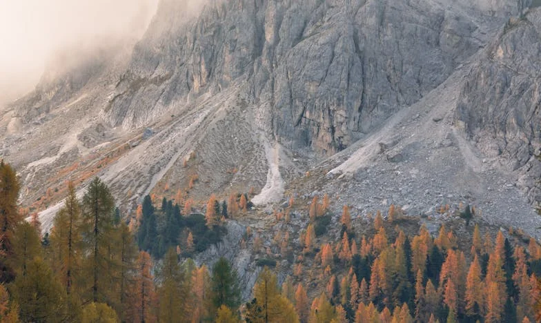 El reflejo del trato: Confesiones de una suegra española