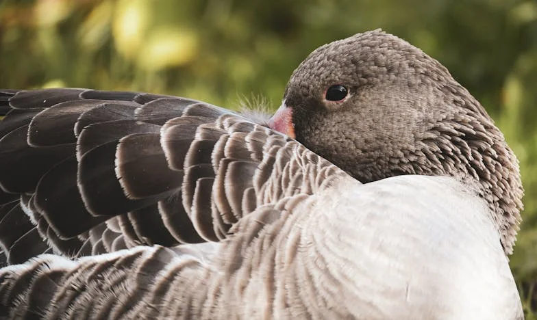 El regalo que rompió mi familia: cómo aprendí a escuchar a mi nuera