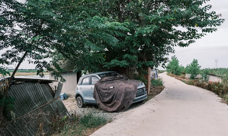 El secreto que rompió mi hogar: Una historia de dinero, confianza y amor en Madrid