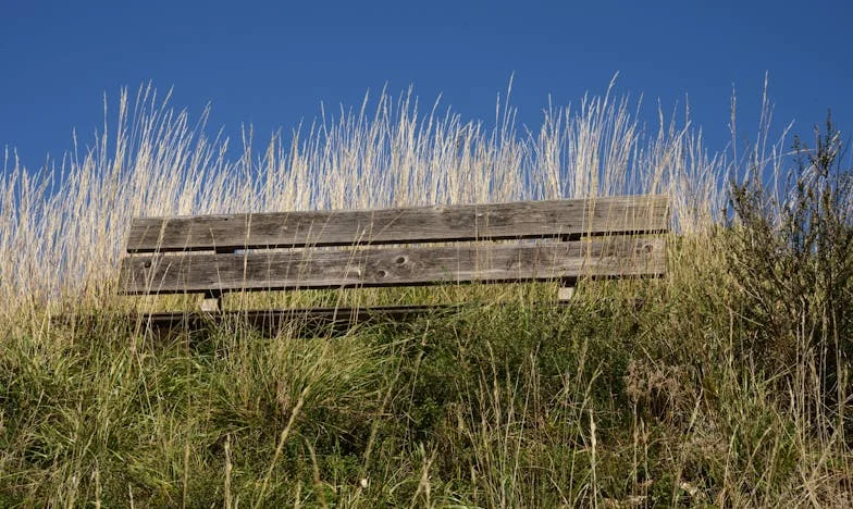 Entre dos fuegos: Una Navidad que partió mi vida