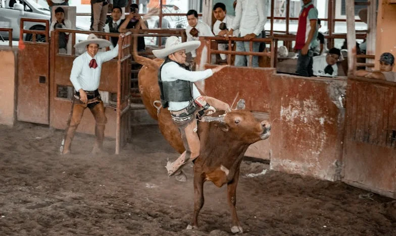 Entre el amor y la sangre: La decisión que me rompió el alma