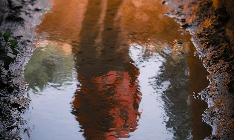 Entre el grito de mi padre y los sueños de mi hijo: una batalla por la paz familiar