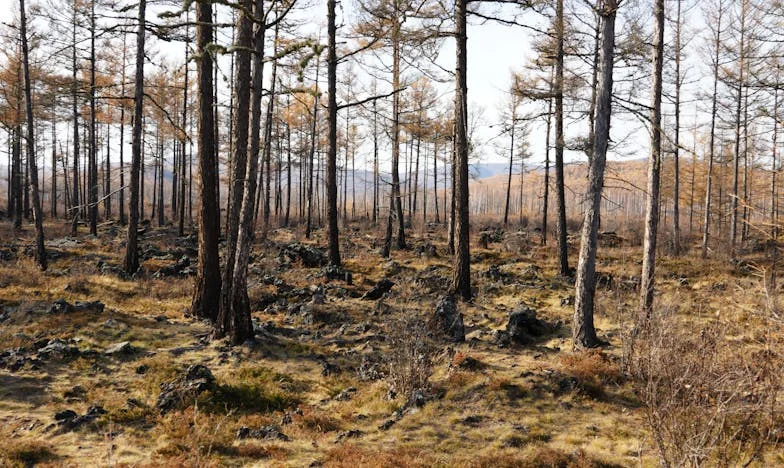 Entre la casa y la sangre: El día que elegí mi dignidad