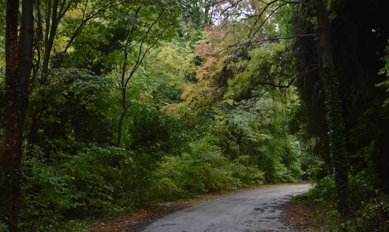 Entre la fe y el abismo: Mi divorcio y el milagro de seguir adelante