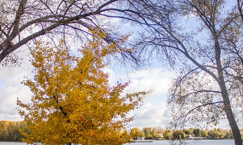 Entre la vergüenza y el amor: Cuando mi suegra cruzó la línea