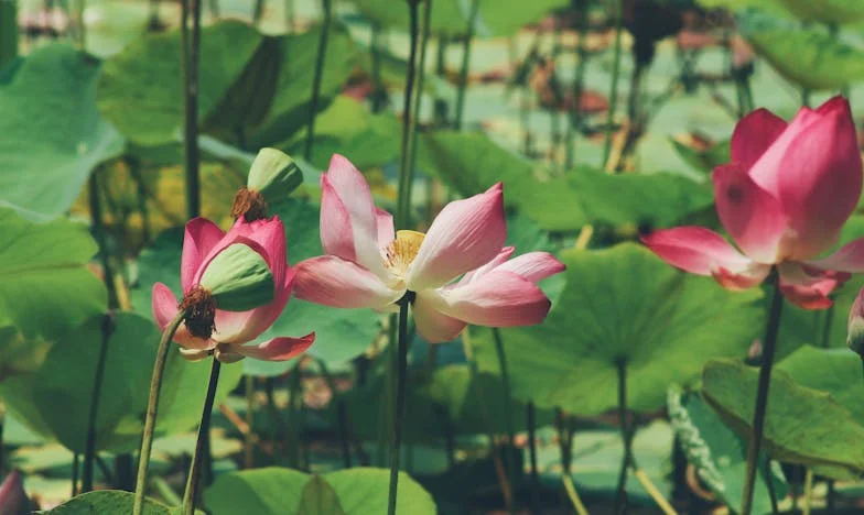 "Haz las maletas y vente a casa" – Cuando mi suegra destrozó nuestro matrimonio tras el nacimiento de nuestro hijo