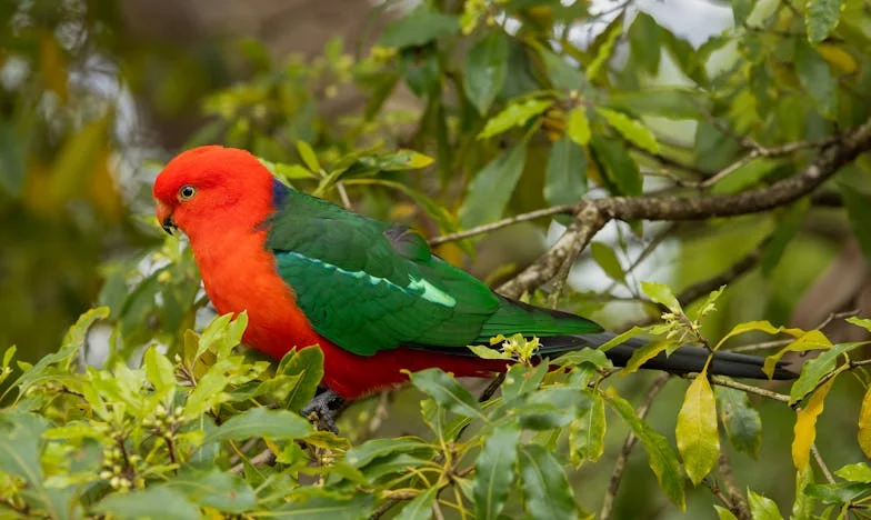 La carta que lo cambió todo: Venganza, redención y un nuevo comienzo