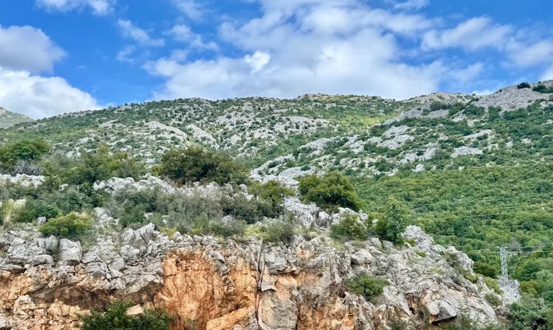 La verdad de una madre: Cuando el amor no basta