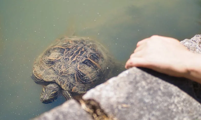 Lágrimas en la Cocina: Cuando Madre e Hija Nos Quedamos Solas